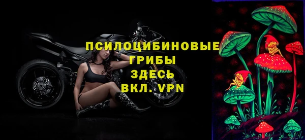 гидропоника Алапаевск