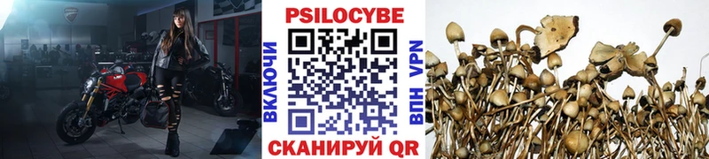 Псилоцибиновые грибы прущие грибы  что такое   Майский 